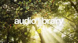 Morning Sun &ndash; Sakura Girl (No Copyright Music)