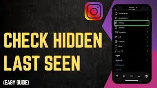 How To Check Instagram Last Seen If Hidden