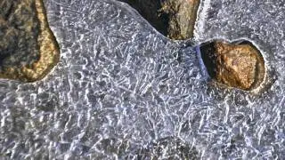 Winter Beach Walk on Kootenay Lake Shores