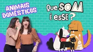 Que som é esse? Animais domésticos