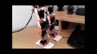 Biped Robot Red Dragon