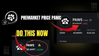 Paws 🐾 Premarket price? Don&rsquo;t Panic &ndash; Do This Instead!