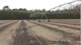 Register's Land Rentals (The Johnny Register Farm)
