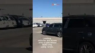 Preparation to RoRo shipping