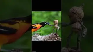 creative nature photography ideas | Nature photography ideas | #shorts