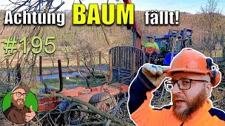 FarmVlog 195: Holz machen mit dem STEPA R&uuml;ckewagen | Zebus versorgen | Samstag ist Hofladentag #beef