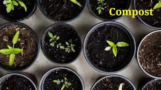 Landscaping Services Calgary | Landscaping Essentials