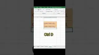 How To Copy Data from Above Cell - Excel Shortcuts - Tips & Tricks