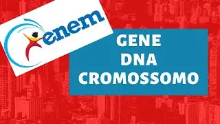 GENE, vs DNA vs CROMOSSOMO - [Biologia para o ENEM]