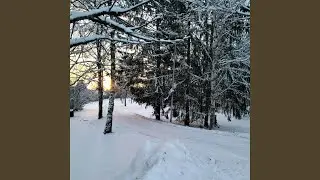 Blizzard