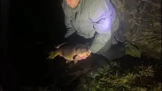 Danson park january 2026 carp fishing 