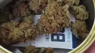 Buy weed online