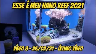 ESSE É MEU NANO REEF 2021 - Video nº8 - 26/02/21