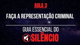 M&oacute;d 8 Aula 3 Barulho de bares: Representa&ccedil;&atilde;o Criminal