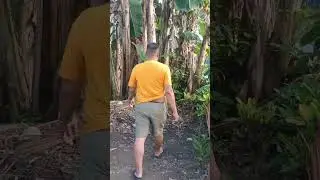 #shirvalayala #views_viral_video_subscribers_grow #philippinesvlogger