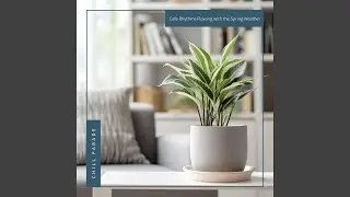 Urban Adventure Theme