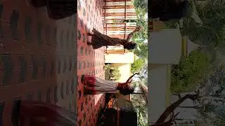 10th take ...#sisduo#titili violiln #classical dance