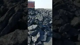 COAL SUPPLIERS IN THANGADH GUJRAT.8800557788
