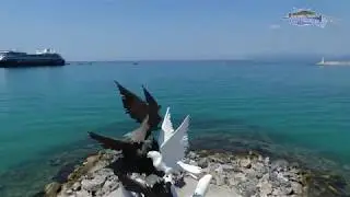 Kuşadası İçin Çal 1 Ada Sahillerinde Bekliyorum