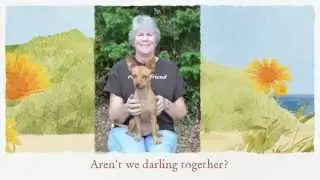 Second Chance Dog Rescue, 2013 (featuring Pippa)