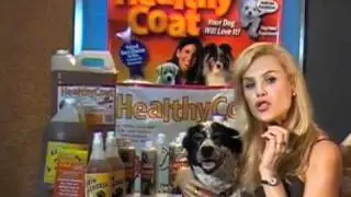 Healthy Coat Dog.mov
