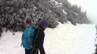 Pico Lobos - marzo 2015