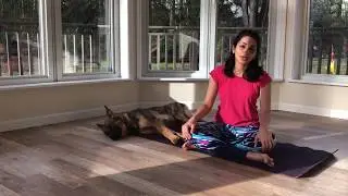 5 minute yoga for beginners - Aham Yoga