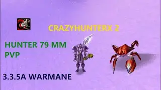 Cazador Punteria  PvP Twink 79 - Crazyhunterx 2 -  WOTLK 3.3.5a