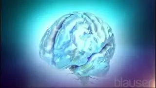 Enfermedad de Parkinson   Enfermedades cerebrales, medulares y nerviosas   Manual MSD versi&oacute;n para p