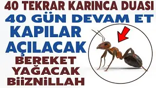 40 karınca duası ile 40 günde yaşanacak güzellikleri sakın kaçırma..! Herkese nasip olmaz bu dua..