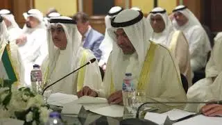 كلمة وزير الخارجية، في أعمال اللجنة المشتركة الكويتية - المصرية في دورتها الـ13