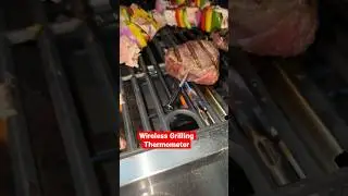 Cook Like a Pro with the TempSpike Wireless Thermometer