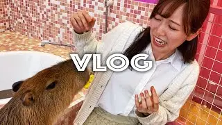 妄想では付き合ってる彼女がカピバラと浮気してました【VLOG】【原宿かわいい動物園】