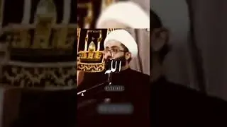 Maulana Kumail Mehdavi | #shorts #video #tiktok