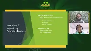 GAME: 280E (часть 5) Как это влияет на мой бизнес