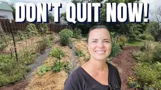 End of the Summer Garden is NEAR! August Maintenance to Keep You Motivated for Fall Gardening!