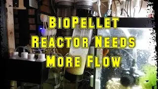 Adding Separate Pump To Phosban 550 Biopellet Reactor | Reef Tank