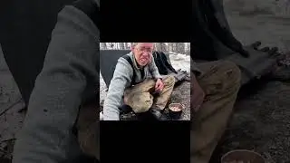 @Outdoorboys  eat like a King #cat #cooking #outdoors #bushcraft #survival #meat