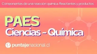 PAES | Química | Componentes de una reacción química. Reactantes y productos