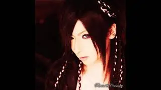 D.I.D. - Paranoid Personality - Type-D (Single)
