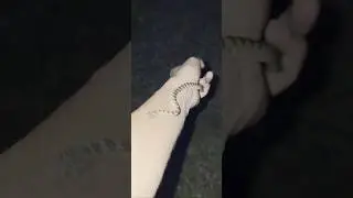 #horror #song #snake #shortvideo #shorts #short #wildanimals #rescue #service