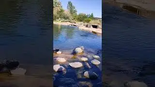 p&eacute;dagogiques!!! #short  #shortsfeed #viral #shortsvideo #shortsvideo #shortvideo #shorts #lepal