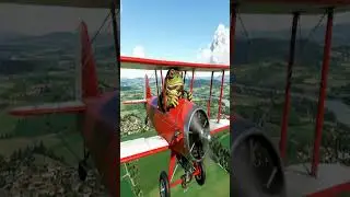 The Flight of the Frog #frog #fantasy #fun #cute