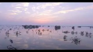 Exploring the Serenity of Manchar Lake | Dil Se Pakistan Travelogue by Black Box Sounds