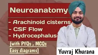 CSF Flow  | Hydrocephalus | Arachnoid space and cisterns | Easy explanation | Medico Paji