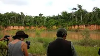 view of the wall of chuncho clay lick