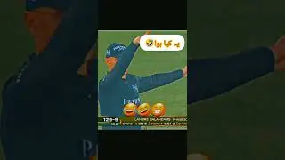 PSL 2025 No Ball Drama | Peshawar Zalmi vs Lahore Qalandars | Umpire's Hilarious Signal