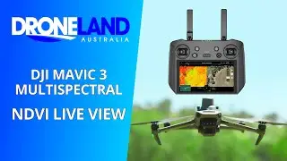 DJI Mavic 3 Multispectral NDVI View
