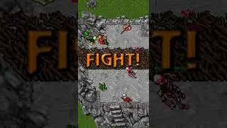 Demon Skeleton vs Orc Leader | Tibia Monster Fights #tibia #fights #oldtibia #games #nostalgia