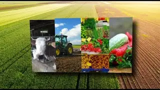 AGROKANAL | POLJOPRIVREDNICI I SNIJEG